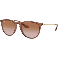 Ray-Ban RB4171 ERIKA Sunglasses For Women+ BUNDLE with Designer iWear Eyewear Care Kit