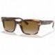 Men's Rb2190 Jeffrey Square Sunglasses