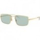 Rb3669 Evolve Photochromic Rectangular Sunglasses