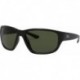Rb4300 Square Sunglasses