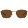 RB3702 Square Sunglasses