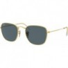 Rb3857 Frank Square Sunglasses