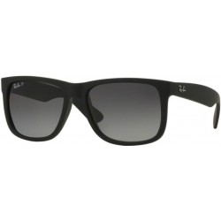 RB4165 Justin Sunglasses