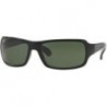 RB4075 Sunglasses For Men For Women + BUNDLE with Designer iWear Eyewear Care Kit