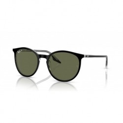 Rb2204 Round Sunglasses