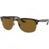 Rb4342 Square Sunglasses