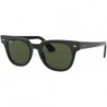 RB2168 METEOR Sunglasses For Men For Women+ BUNDLE with Designer iWear Eyewear Care Kit