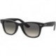 Junior Kids' Wayfarer RJ9066S Square Sunglasses for Men for Women + BUNDLE With Designer iWear Eyewe