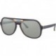 Rb4357 Powderhorn Evolve Photochromic Aviator Sunglasses