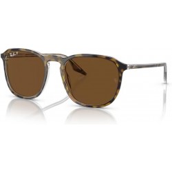 RB2203 Square Sunglasses for Men for Women + BUNDLE With Designer iWear Complimentary Eyewear Kit