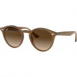 RB2180 Round Sunglasses, Turtledove/Brown Gradient, 49 mm