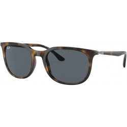 RB4386 Pillow Sunglasses for Men for Women + BUNDLE With Designer iWear Eyewear Kit