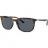 RB4386 Pillow Sunglasses for Men for Women + BUNDLE With Designer iWear Eyewear Kit
