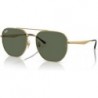 RB3724D Irregular Sunglasses for Men for Women + BUNDLE With Designer iWear Complimentary Eyewear Ki