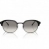 Women's Rb4429 Round Sunglasses