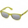 RB4207 New Wayfarer Liteforce Sunglasses