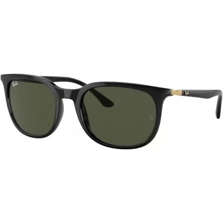 RB4386F Pillow Sunglasses for Men for Women + BUNDLE With Designer iWear Complimentary Eyewear Kit