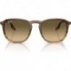Rb2203f Square Sunglasses