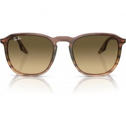 Rb2203f Square Sunglasses