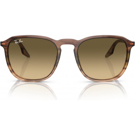 Rb2203f Square Sunglasses