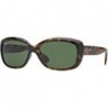 RB4101 Jackie Ohh Sunglasses + Vision Group Accessories Bundle