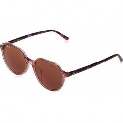 0RB2195F66372K53 Thalia Transparent Pink Brown Mirror Dark Red Lens