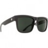 Discord Sunglasses Black Gloss w/ Happy Grey Green Lens 673119038863