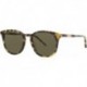 GG1157S 003 Havana/Green Soft Round Men's Sunglasses.