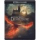 Fantastic Beasts: Secrets of Dumbledore (4K Ultra HD + Blu-ray) [4K UHD]