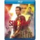 Shazam! Fury Of The Gods (Blu-ray)
