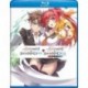The Testament of Sister New Devil + The Testament of Sister New Devil Burst: Seasons 1-2 [Blu-ray]