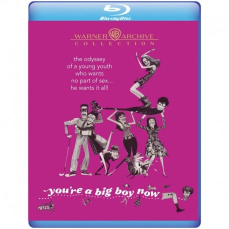 You're a Big Boy Now [Blu-ray]