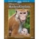 Disneynature: Monkey Kingdom [Blu-ray]