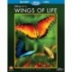 Disneynature: Wings of Life (Blu-ray / DVD)