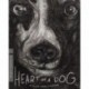 Heart of a Dog (The Criterion Collection) [Blu-ray]