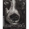 Heart of a Dog (The Criterion Collection) [Blu-ray]