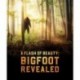 A Flash of Beauty: Bigfoot Revealed [Blu-ray]