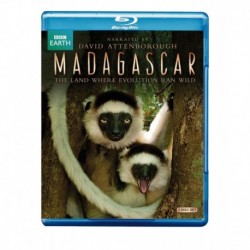 Madagascar (2011)(Blu-Ray)