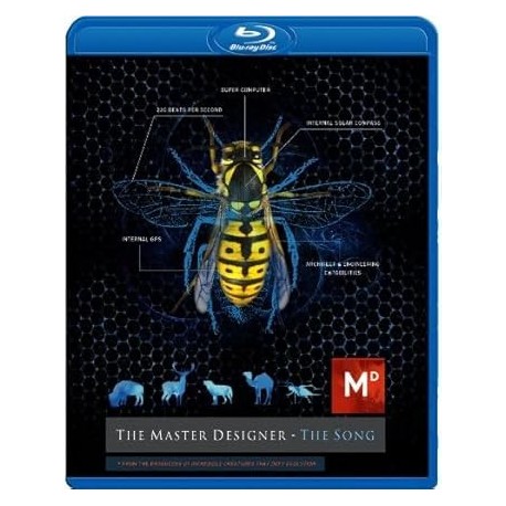 The Master Designer: The Song