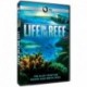 Life on the Reef [Blu-ray]