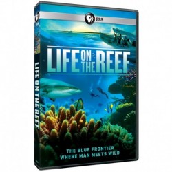 Life on the Reef [Blu-ray]