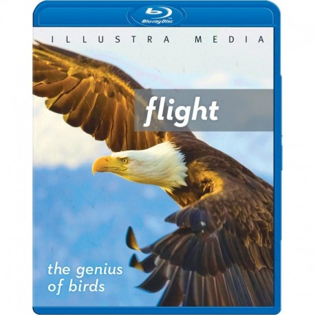 Flight: The Genius of Birds [Blu-ray]
