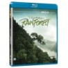 Tropical Rainforest: IMAX