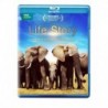 Life Story [Blu-ray]
