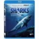 IMAX: Search for the Great Sharks [Blu-ray]