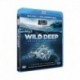 Wild Deep