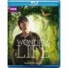 Wonders of Life [Blu-ray]