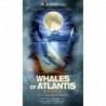 Whales Of Atlantis: In Search Of Atlantis