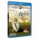 The Amish (American Experience) [Blu-ray]