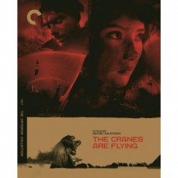 The Cranes are Flying (The Criterion Collection) [Blu-ray]